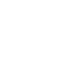 pin (1)